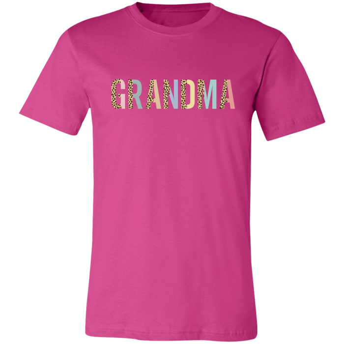 Grandma Leopard and Pastel Color Block T-Shirt